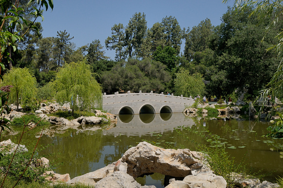 One of the Longer Bridges at the Chinese Garden at the Huntington Library & Botanical Gardens