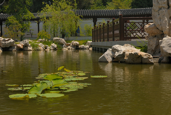 The Pond, Cafe & Wall of the Chinese Garden at the Huntington Library & Botanical Gardens