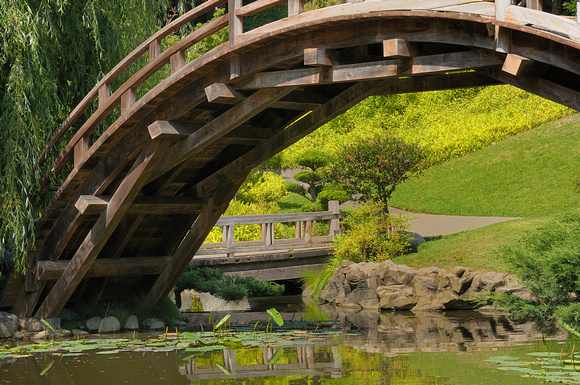 The Bridge in the Japanese Garden at the Huntington Library & Botanical Gardens