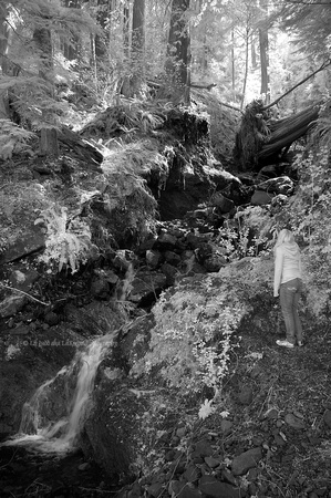 Andrea Enjoying a Small Waterfall next to Lake Crescent post processed in CS3