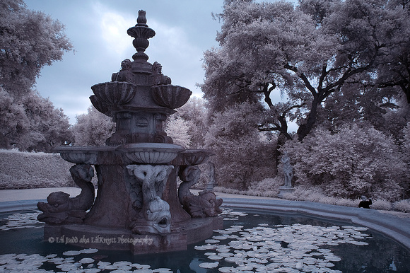 Fountain at The Huntington Library & Botanical Gardens in Pasadena, CA.