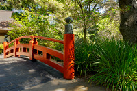 The bridge in the Japanese Garden.....