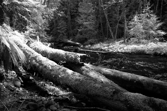 Stream near to Lake Crescent processed in CS3