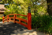 The Bridge in the Japanese Garden..... II