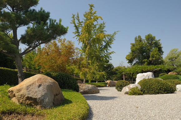 Dry Garden with Directional Stone