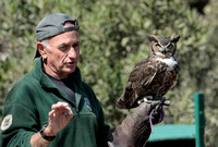 Roger & the Great Horned Owl