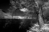 View next to Lake Crescent processed in CS3  - View II