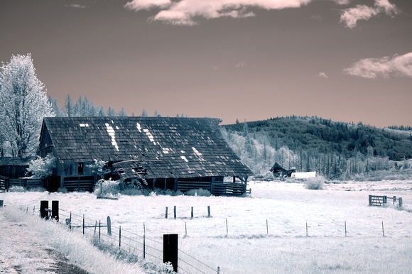 Old Barn in Washington State    NX2 version