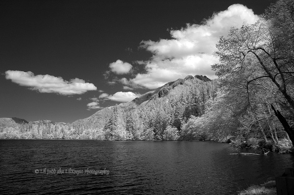 Lake Crescent another scenic view post processed in CS3