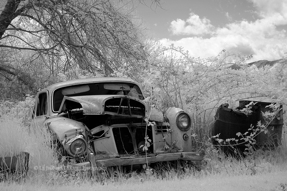 Rusty Old Car in Quilicene, Washington editied in CS3