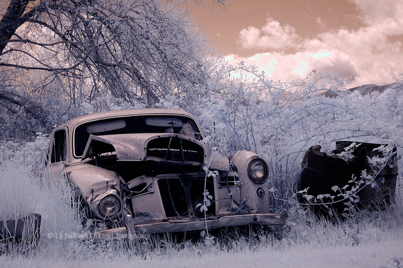 Rusty Old Car in Quilicene, Washington editied in NX2