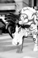 LensBaby Art Cows in La Jolla 2009 - Thank You Patsy for sharing this with me....