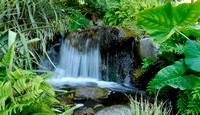 Waterfall in the Jungle Garden II