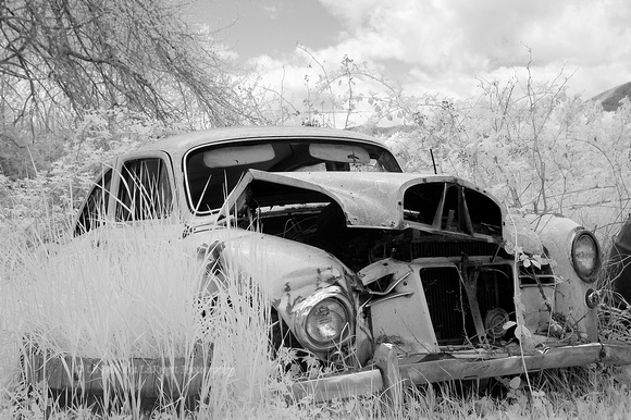 Rusty Old Car in Quilicene, Washington  II  editied in CS3