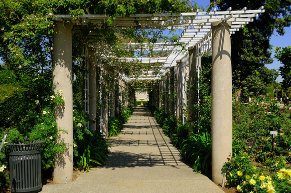 Covered Path in the Rose Garden