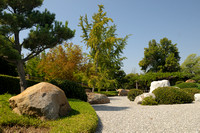 The Treasure that is the Japanese Garden