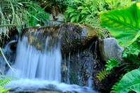 Waterfall in the Jungle Garden