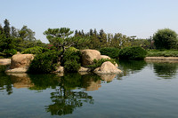 One of the Little Islands in the Pond